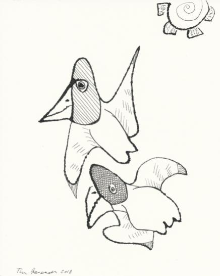bwbird29